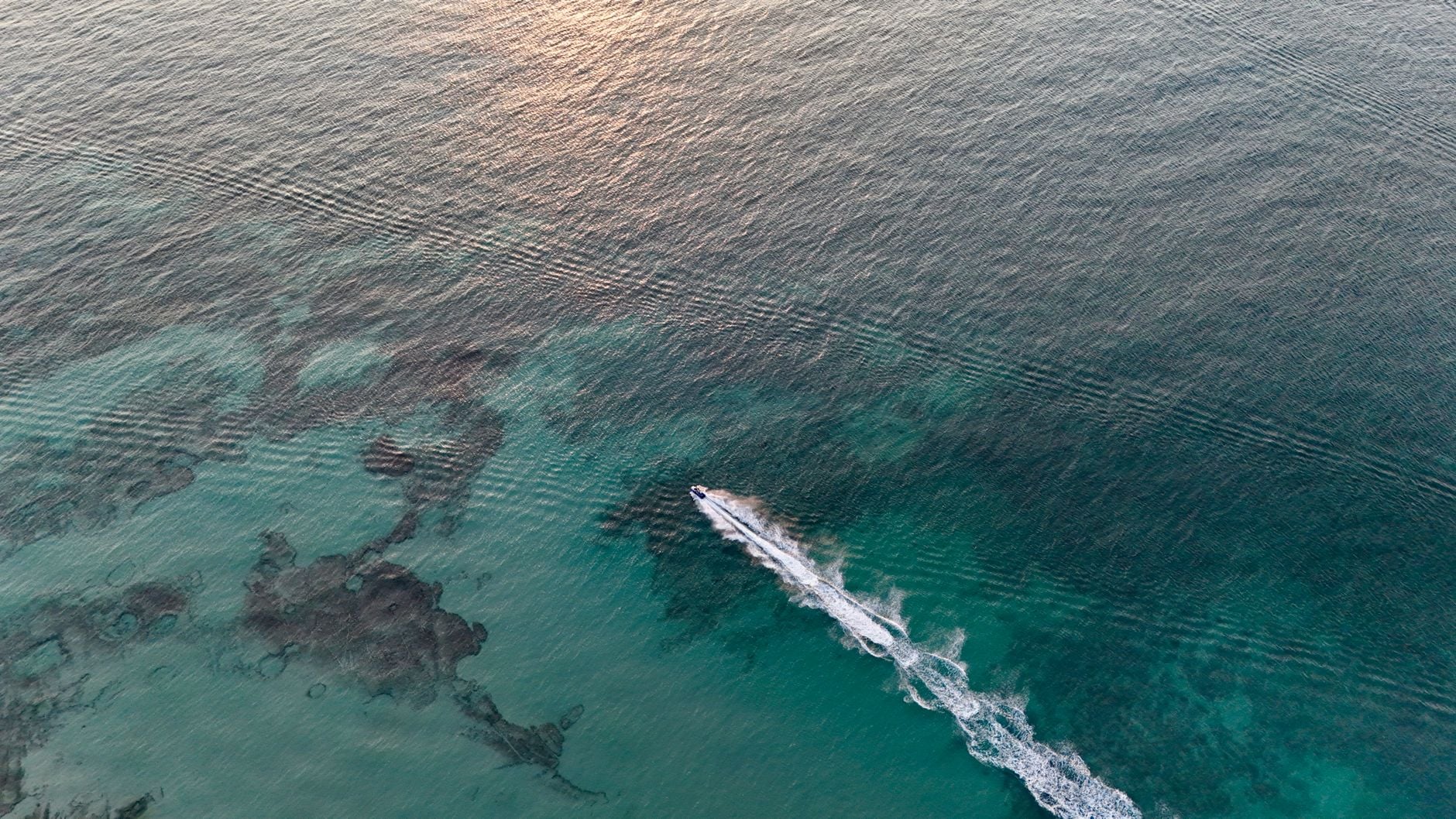 Garibaldi's wake ripped white across turquoise water