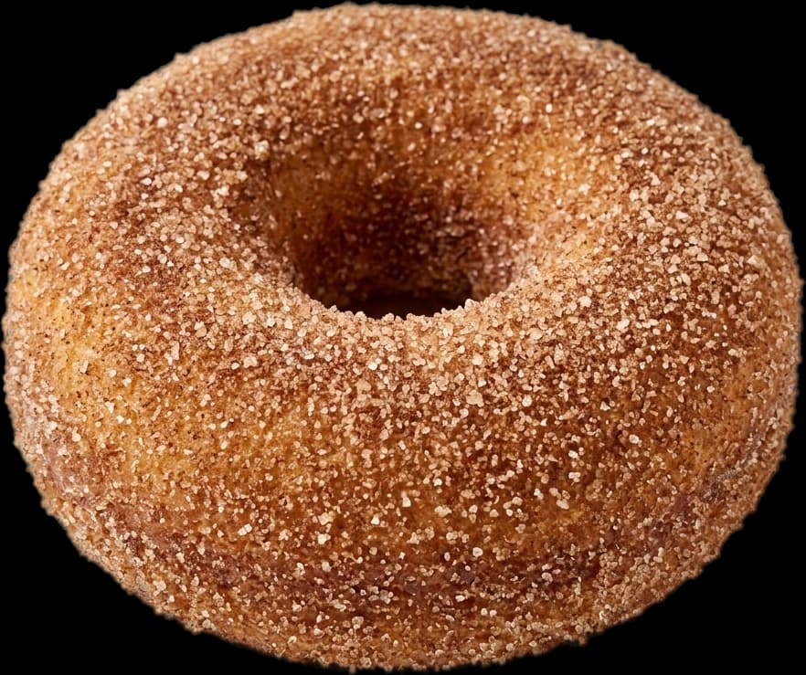 A cinnamon-sugar cake donut