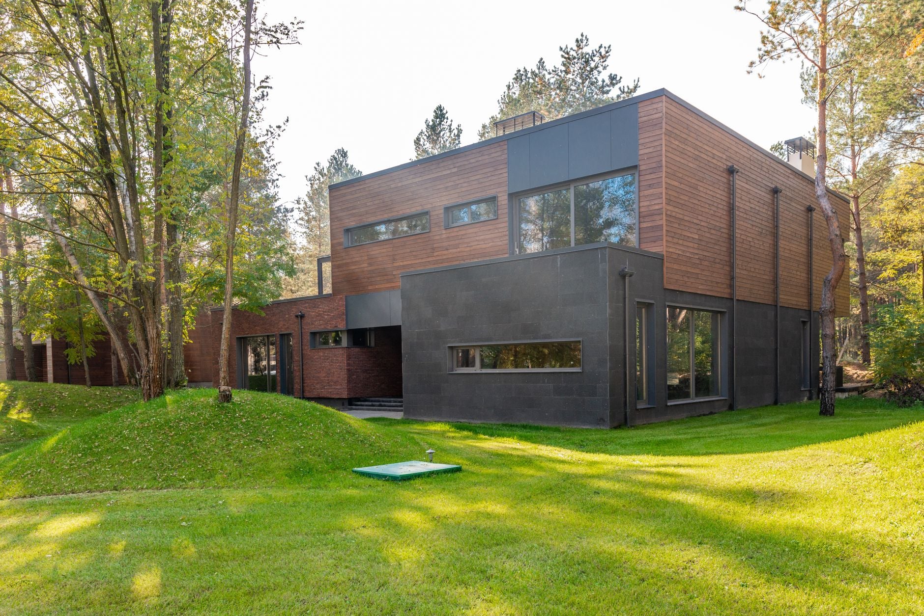 Cedar and charcoal volumes among pines