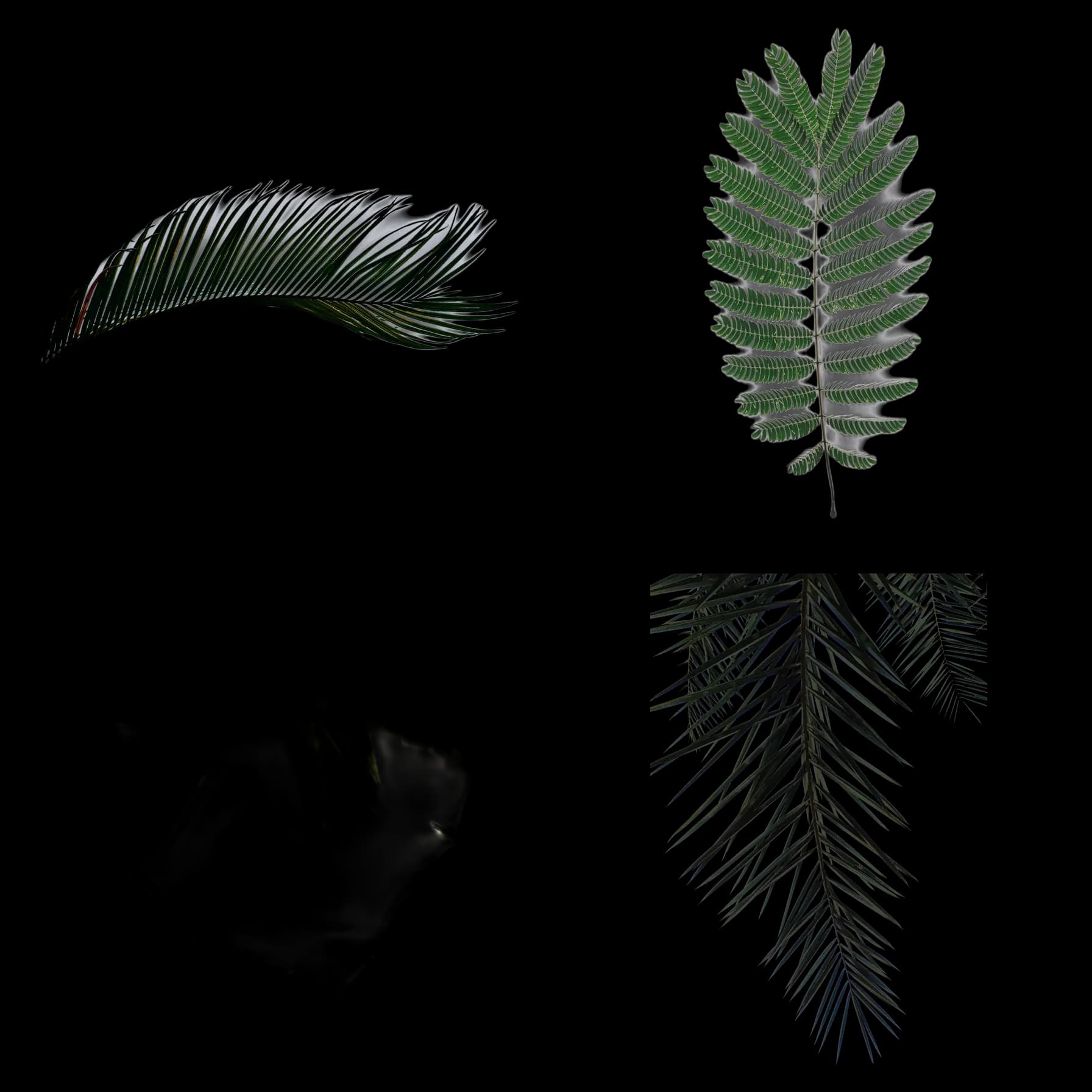 A two-by-two grid of four photographed leaves on a transparent background, the texture atlas used for the canopy.