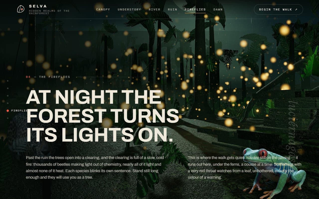 Selva: 04 — The fireflies, over a court whose paving the forest is taking back