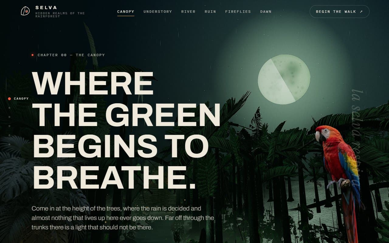 The Selva homepage